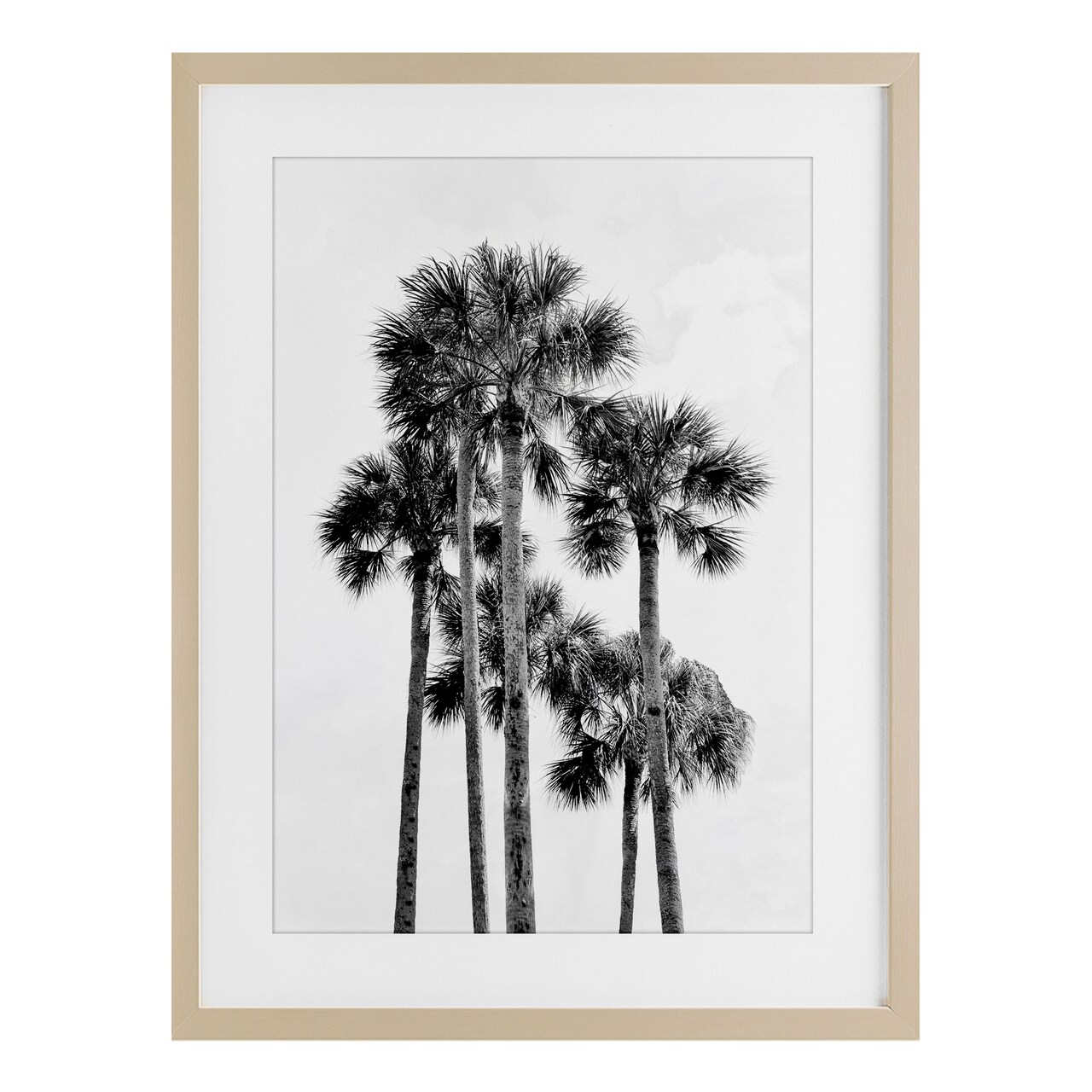 Stupell Industries Black & White Palm Tropics Framed Print Under Glass, design by Natalie Carpentieri